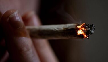 Berlin | Wie neue Pläne für Medizin-Cannabis polarisieren