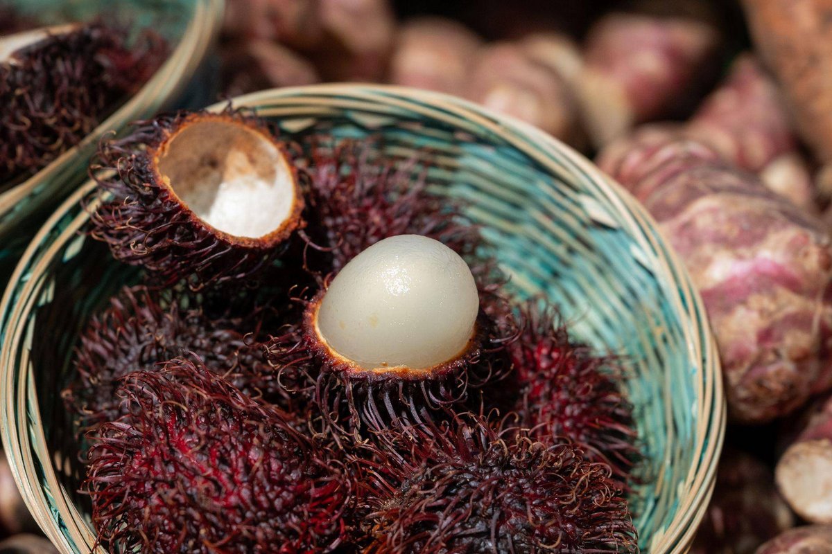 Bonn | Litschi-Verwandte: Rambutan punktet mit mehr Fruchtfleisch