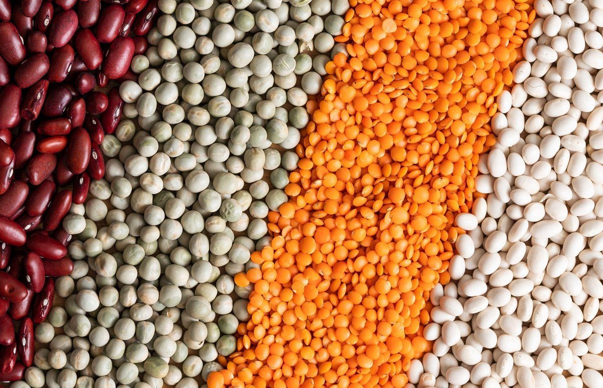 München | Eiweißbedarf pflanzlich decken? Worauf es dabei ankommt