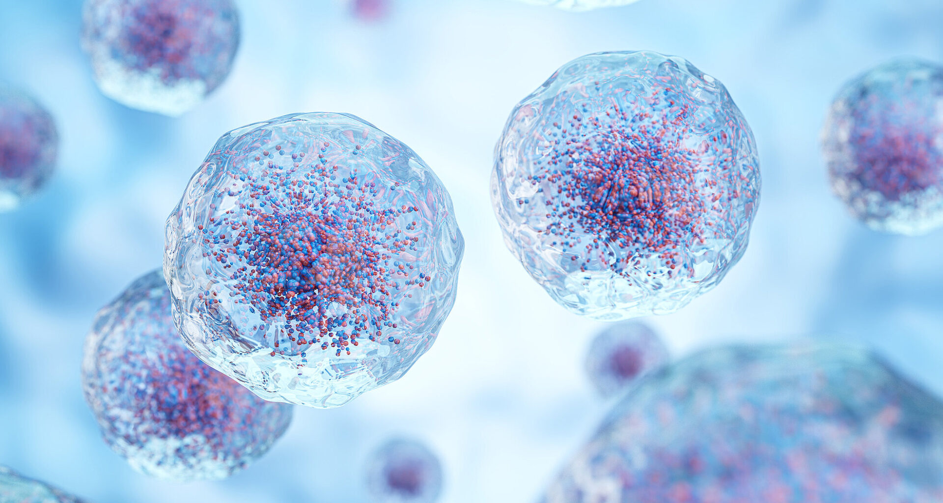 Wie entsteht Long COVID? Neuer Mosaikstein gefunden