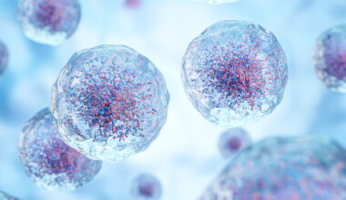 Wie entsteht Long COVID? Neuer Mosaikstein gefunden