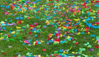 OLG Köln zum Karneval: Konfettikanone macht Garten dreckig