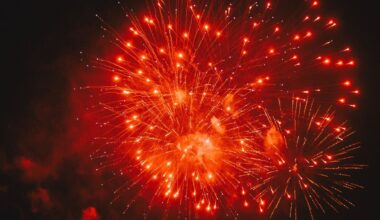 Bezirksregierung Detmold: Feuerwerksverkauf ohne große Verfehlungen