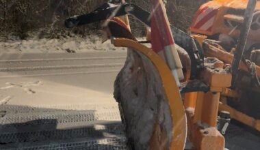 Herford: Bürgermeisterin entschuldigt sich für Busausfälle und will nachbessern