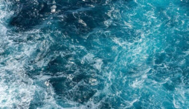 Jetzt fürchten sogar Geheimdienste den Amoc-Kipppunkt für Europa