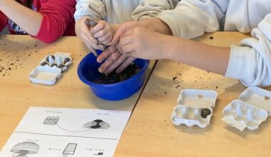 Klimaschutz: So werden Projekte in der Region mit bis zu 10.000 Euro gefördert