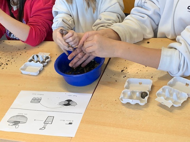 Klimaschutz: So werden Projekte in der Region mit bis zu 10.000 Euro gefördert