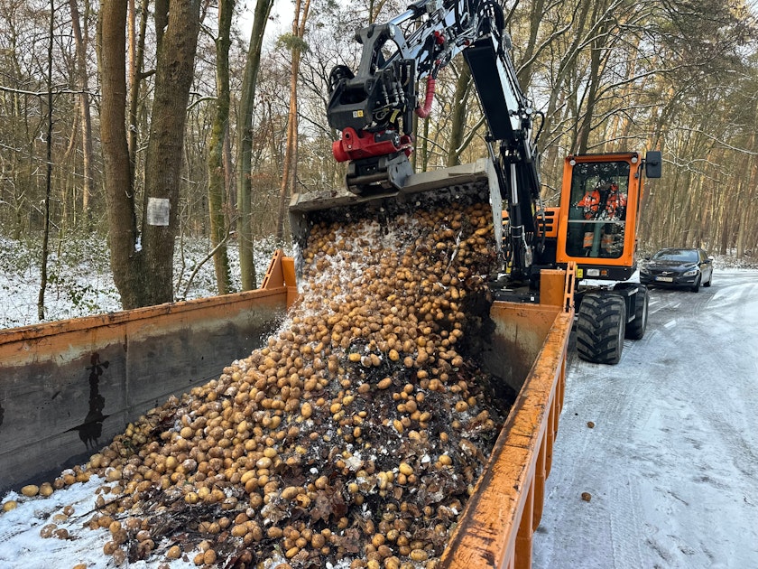 Troisdorf illegal entsorgte Kartoffeln werden zu Biogas