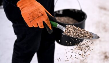 Gunnar Schupelius: Gefährliches Glatteis – Tausalz muss erlaubt sein! | Regional