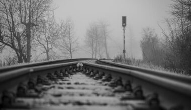 Tragödie beim Gassigehen – Mann und Hund von Zug erfasst