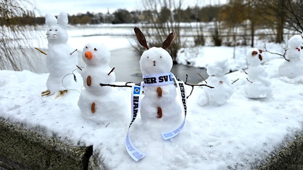 Auch einen Schneemann als HSV-Fan gibt es