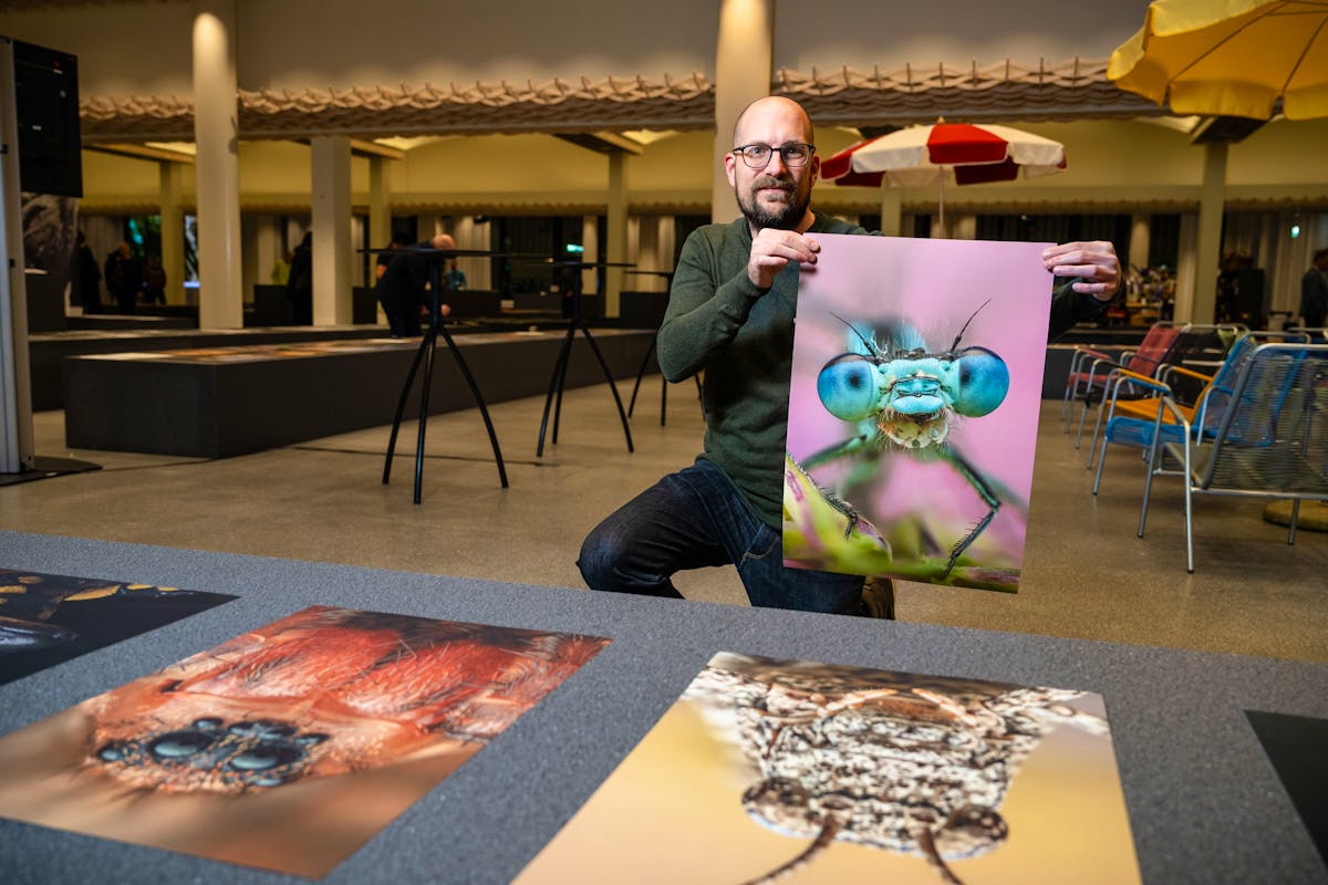 Dank dieses Bilds konnte Martin Reichenbach seine Makrofotografien an der Fotoausstellung 2025 präsentieren.