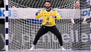 Handball: Ägypter El-Tayar wechselt von Hamburg ins Tor nach Stuttgart | Sportmix