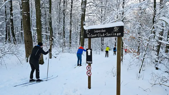Langläufer sind im verschneiten Deister unterwegs.