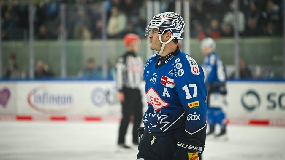 Eishockey: Serie hält an - Dresdner Eislöwen verlieren auch gegen Adler Mannheim