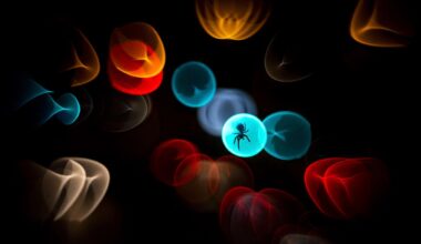 Stille Naturfotografie aus dem Münsterland – Portfolio Simone Baumeister