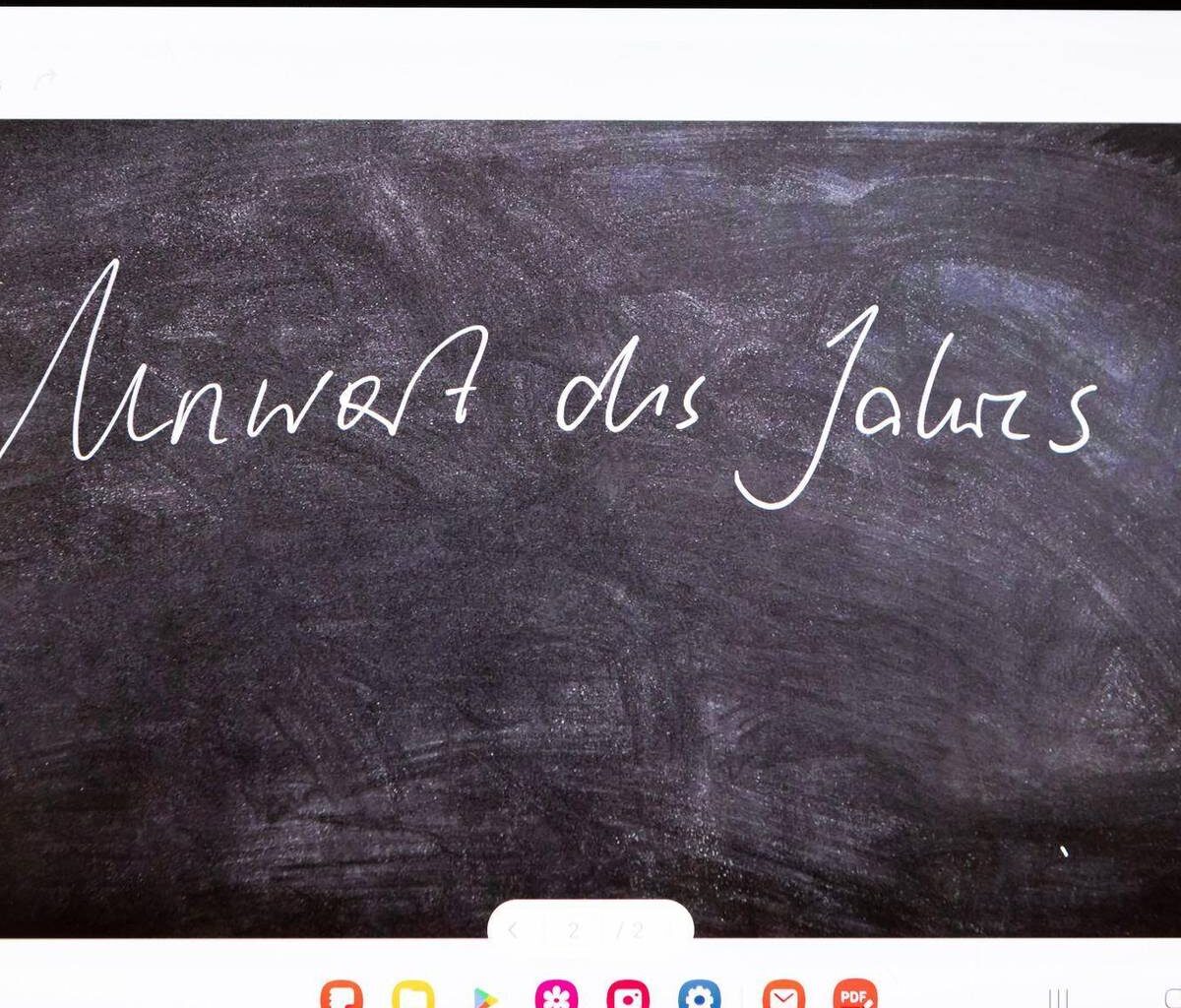 Jury gibt «Unwort des Jahres» 2025 bekannt