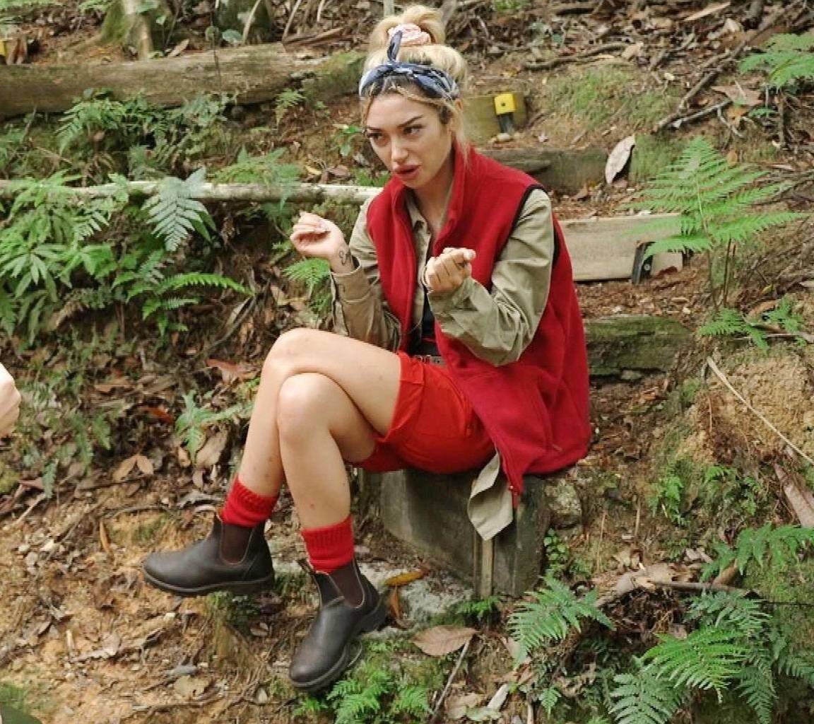 Erster Dschungel-Rauswurf - Wer muss gehen?