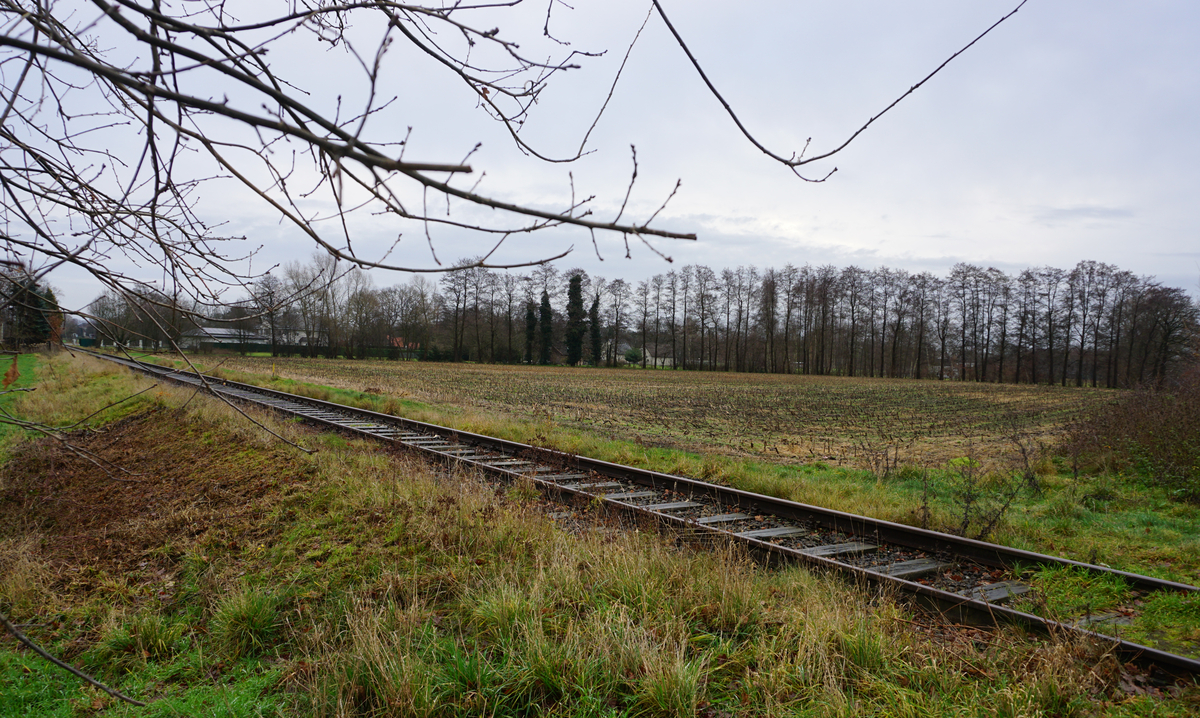Diese Ackerfläche soll in Verl zu Bauland werden