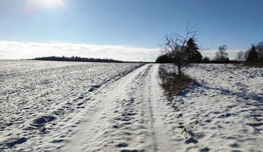 via dts Nachrichtenagentur