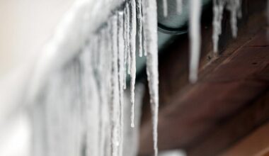 Wintereinbruch: DLRG warnt vor zu dünnen Eisflächen