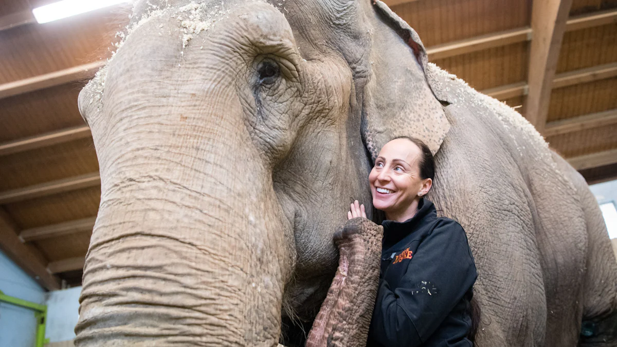 München: Circus Krone trauert um Elefantendame Bara - München