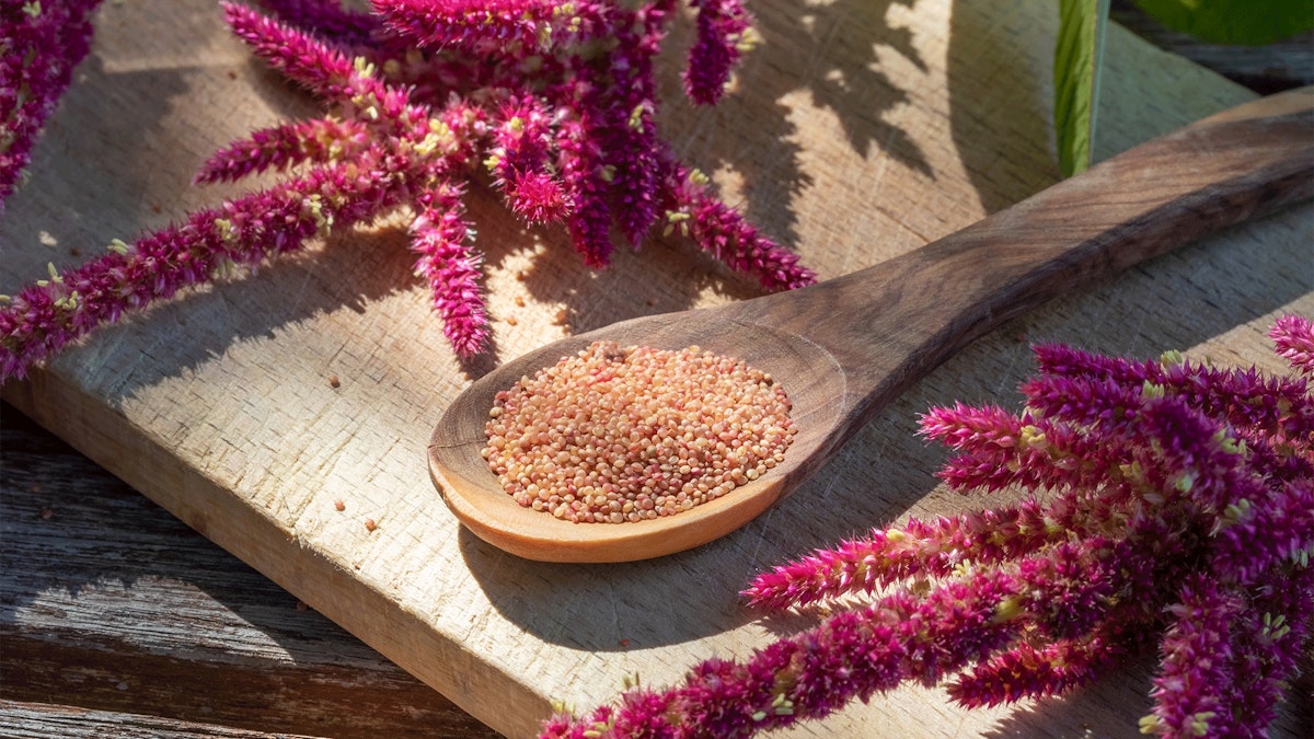 Wunderkorn macht Comeback – Wieso du dieses proteinreiche Superfood essen solltest