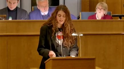 Antifa-Eklat im Parlament bei Debatte um Stromanschlag | Regional