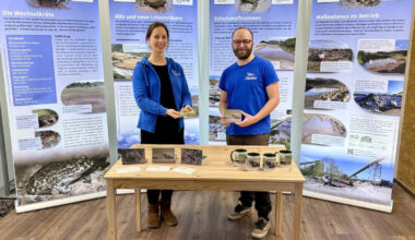 Eine Kröte kämpft gegen das Aussterben - So wurde ihr geholfen