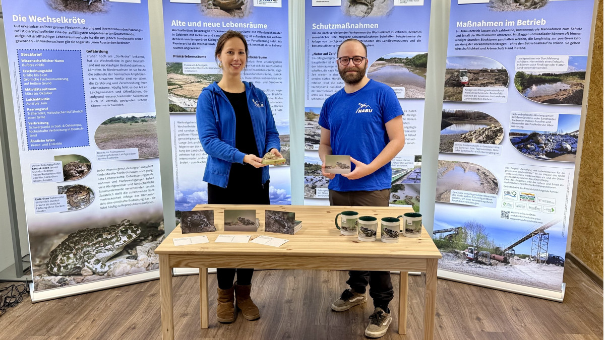 Eine Kröte kämpft gegen das Aussterben - So wurde ihr geholfen