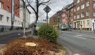 Der Protest ist da, doch die Linde ist schon weg