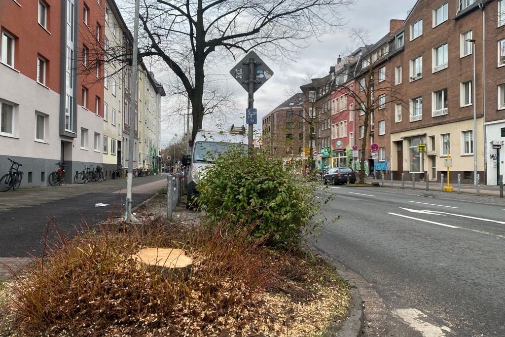 Der Protest ist da, doch die Linde ist schon weg