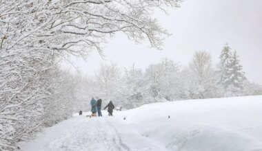 Winterwetter - Winterland Franken: Schulen, Müllabfuhr und Fahrer im Stress - Bayern