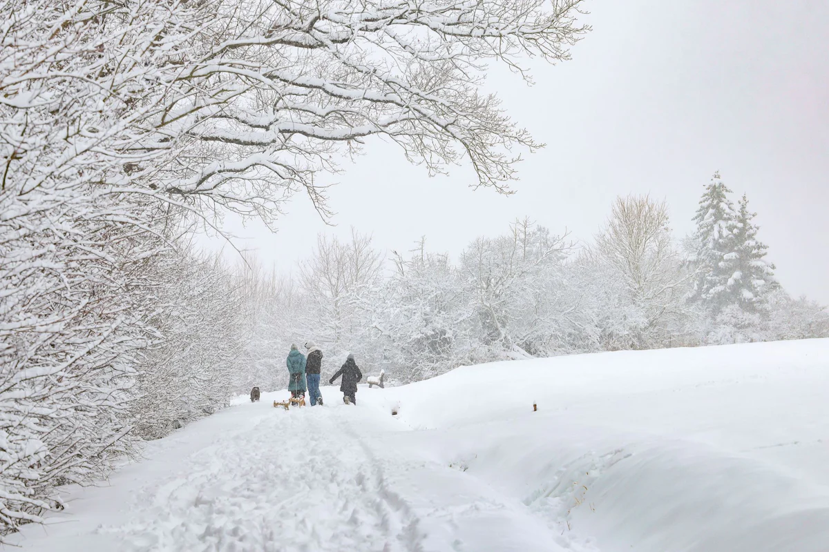 Winterwetter - Winterland Franken: Schulen, Müllabfuhr und Fahrer im Stress - Bayern