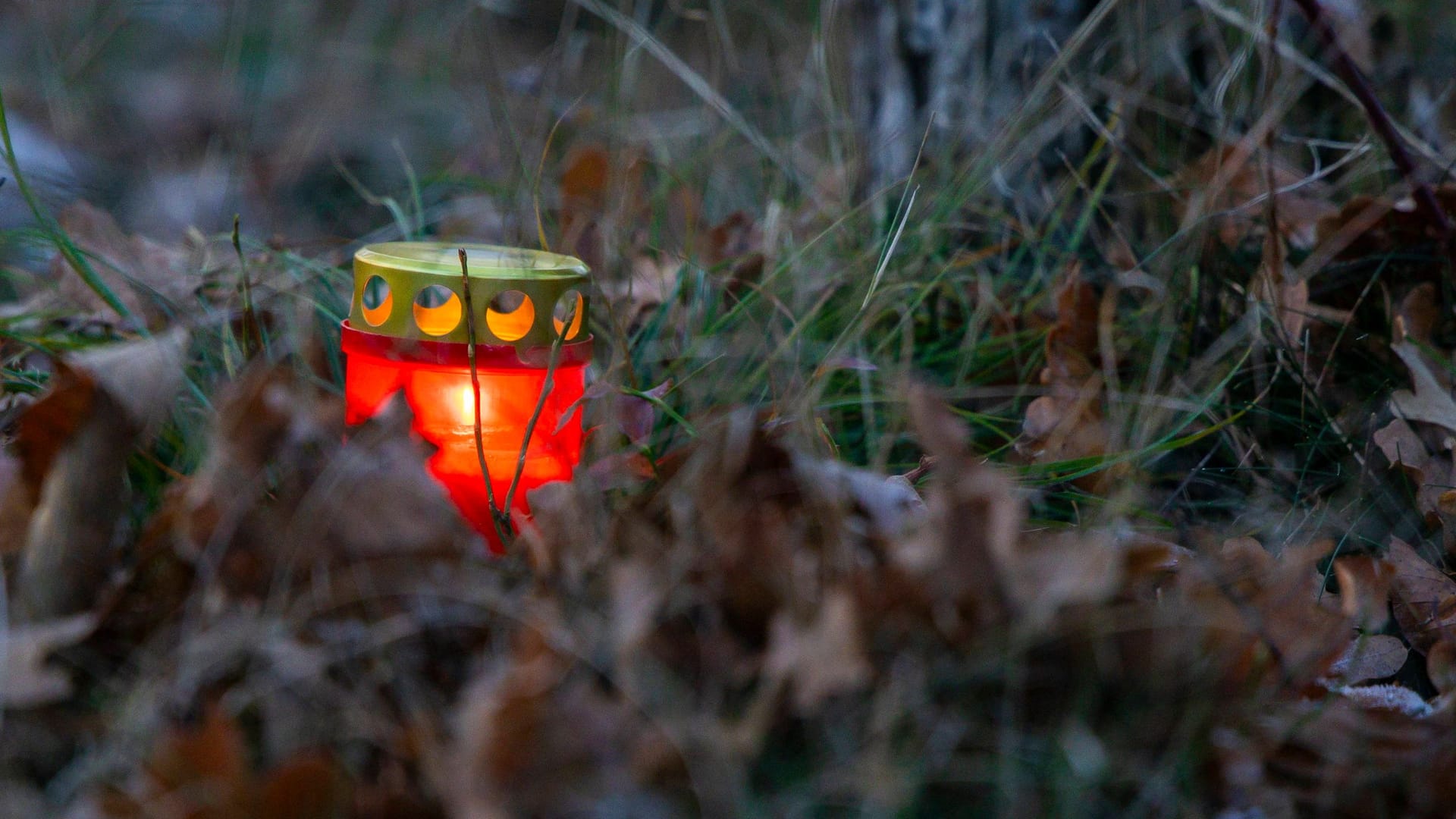 Ein Grablicht steht auf einem Waldfriedhof (Symbolbild): Nordrhein-Westfalen hat zuletzt 2014 neue Bestattungsformen erlaubt.