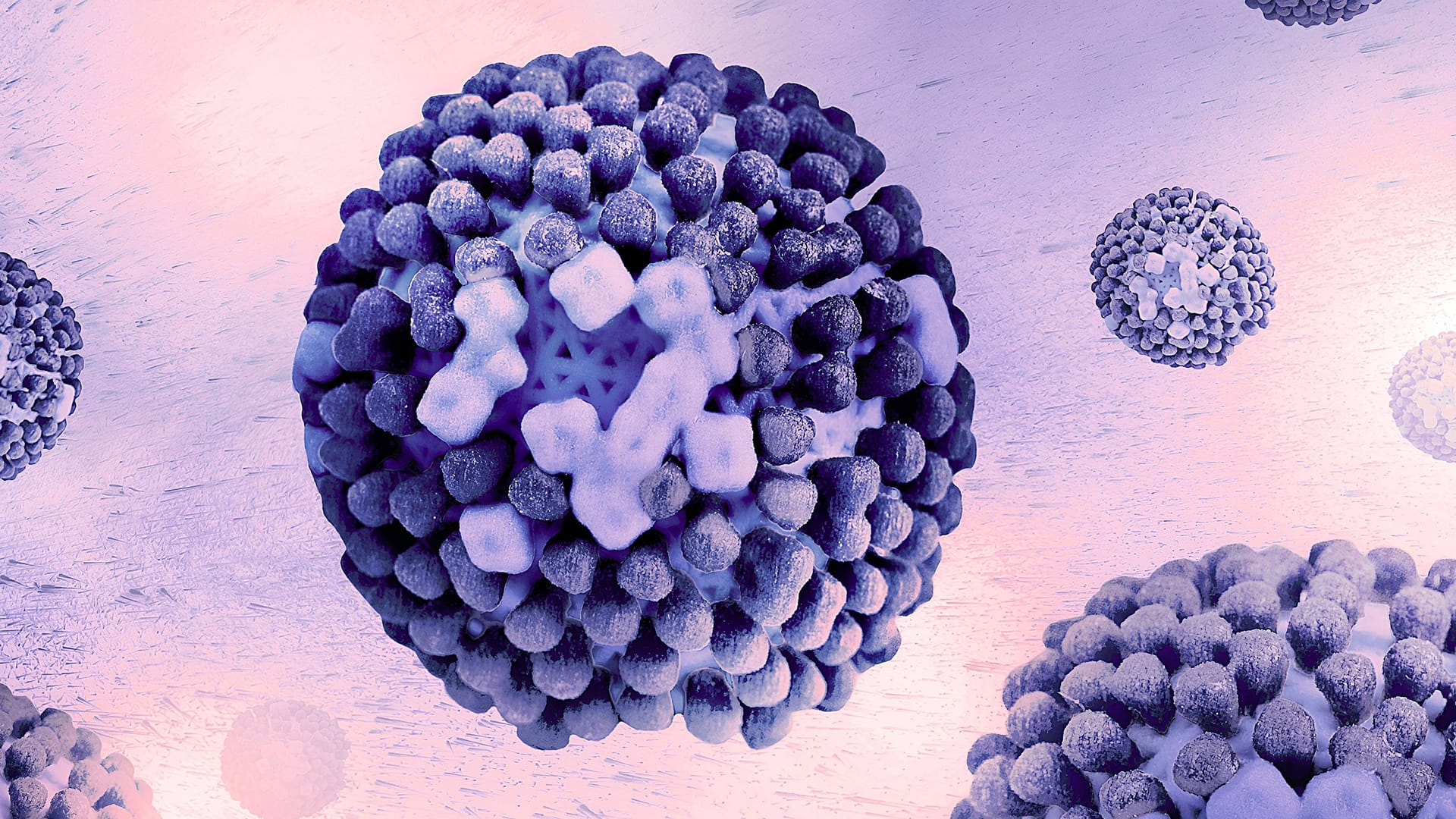 Ein Grippevirus unter einem Mikroskop (Symbolbild): In Köln wurden seit Jahresbeginn mehr als 700 Influenza-Infektionen gemeldet.