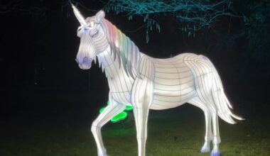 Ein Einhorn beim Parkleuten in Essen.