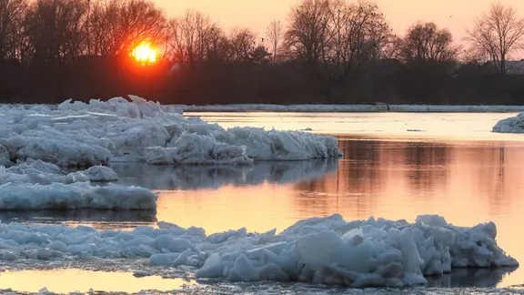 Eisschollen schwimmen bei Geesthacht auf der Elbe. | picture alliance/dpa | Bodo Marks Eisschollen schwimmen bei Geesthacht auf der Elbe.