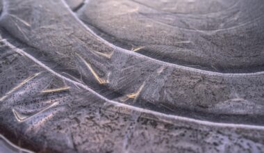 Betreten zugefrorener Gewässer lebensgefährlich: Stadtverwaltung warnt vor Gefahren am Maschsee und anderen Gewässern