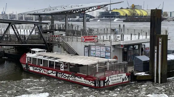 Eis in der Elbe an den Hamburger Landungsbrücken.