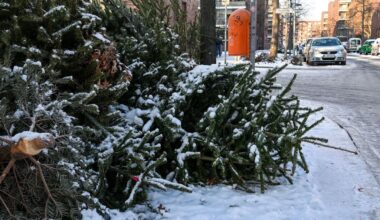 Wo Sie die Termine finden – und warum das Lametta abgehängt werden muss