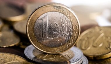 Verdienst, Einreisen, Bezahlen – das gibt es im Februar Neues!