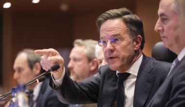 Nato-Chef: Ohne USA bräuchte Europa ein 10-Prozent-Ziel | Politik