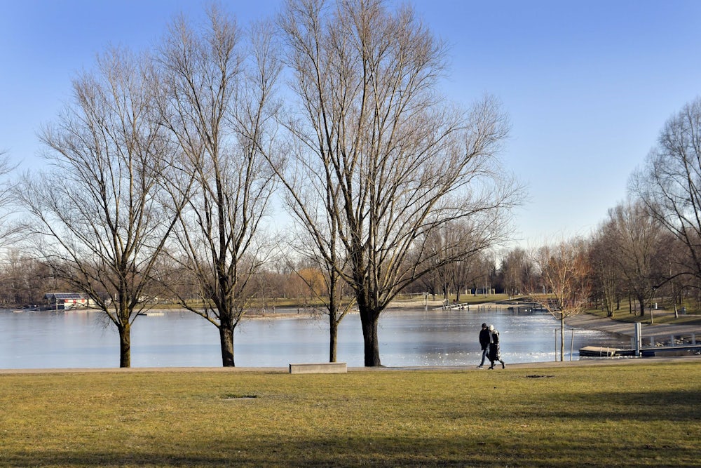 Ein Sonnenspaziergang am Kronthaler Weiher.