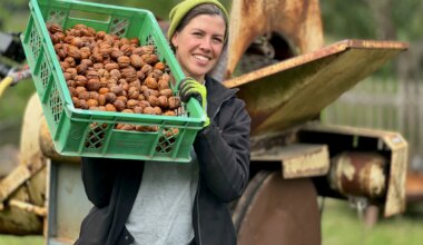 Reden wir über Geld: Walnüsse von Vivian Böllersen aus Brandenburg im Öko-Anbau - Wirtschaft
