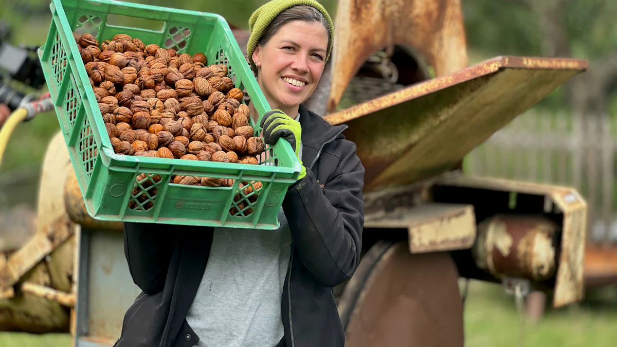 Reden wir über Geld: Walnüsse von Vivian Böllersen aus Brandenburg im Öko-Anbau - Wirtschaft