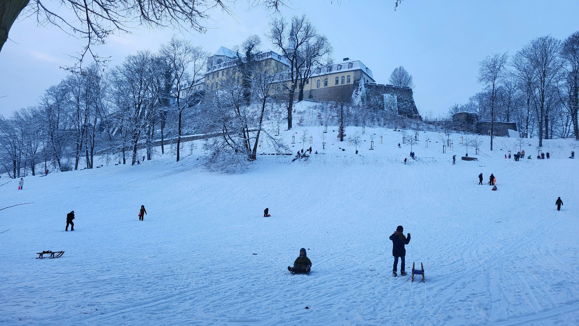 Am Michaelsberg in Siegburg gibt es eine große Rodelpiste.