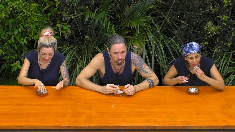 Angetreten sind sie auf jeden Fall: Mit wie vielen Sternen Ariel, Gil und Eva zurückkehren, bleibt jedoch offen