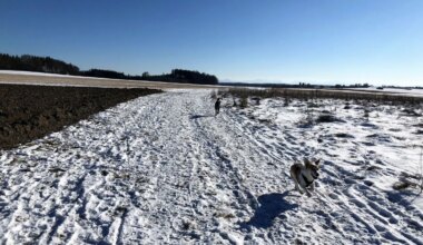 Die schönsten Winterspaziergänge im Münchner Umland - Landkreis München