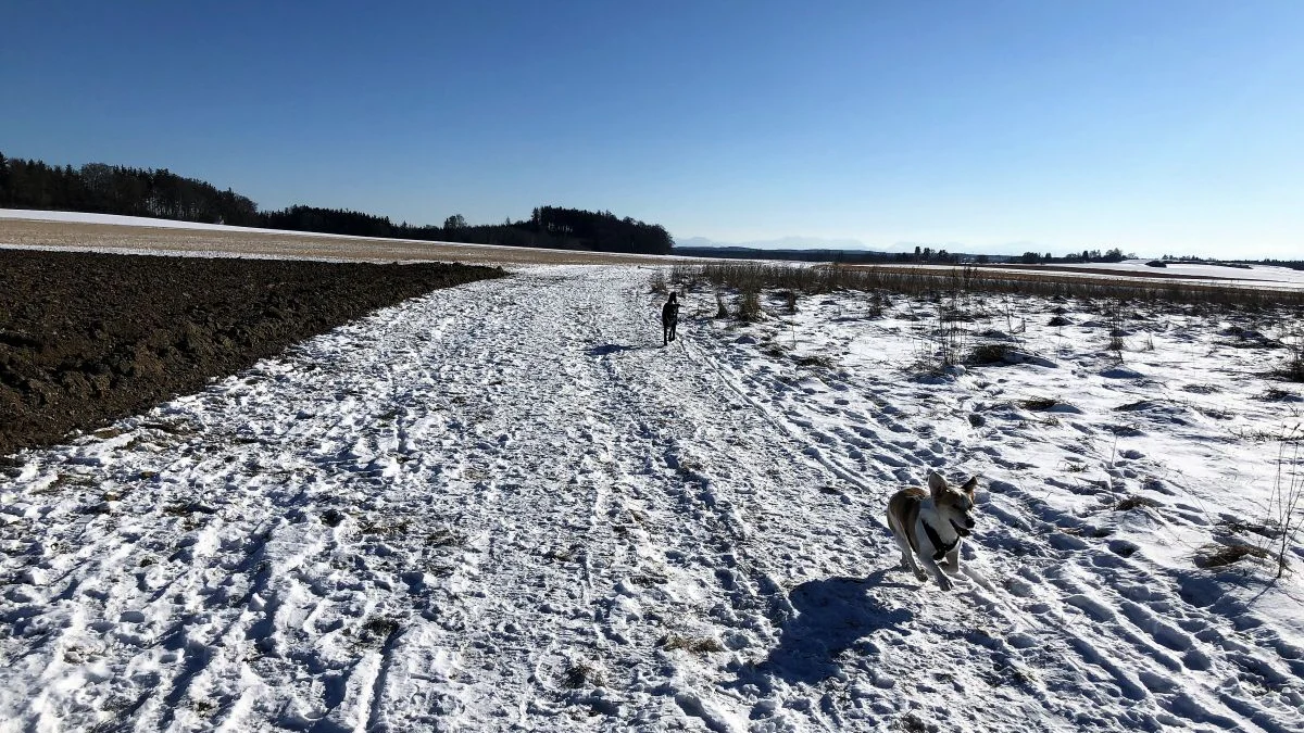 Die schönsten Winterspaziergänge im Münchner Umland - Landkreis München